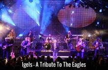 images/Band Archiv/igels-1.jpg